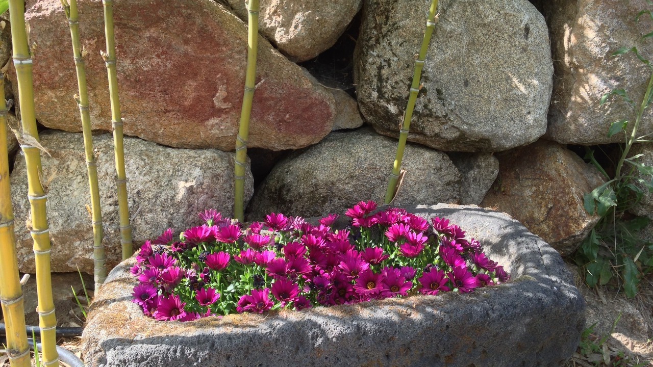 Photo of Outdoor in Piedralaves