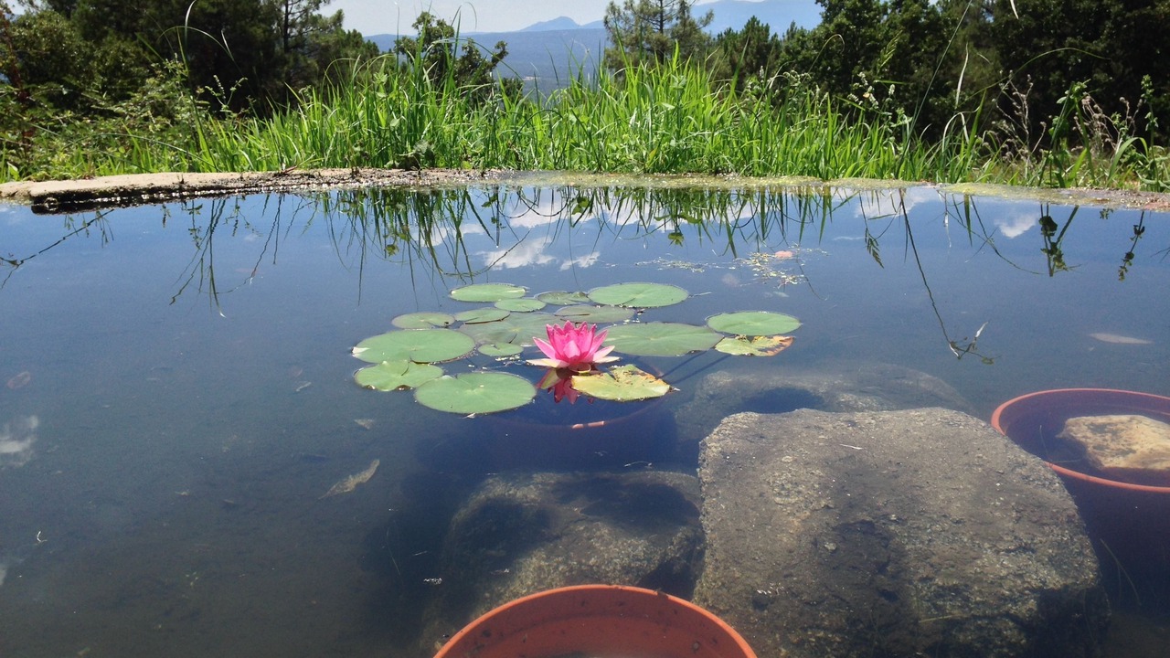 Photo of Outdoor in Piedralaves