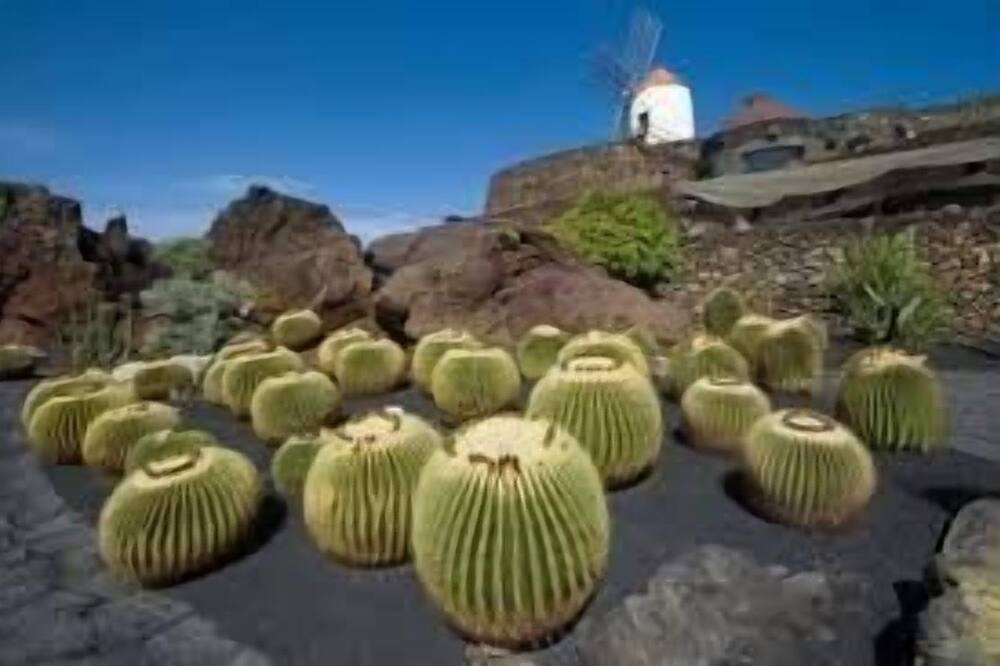 Photo of Outdoor in Tahiche