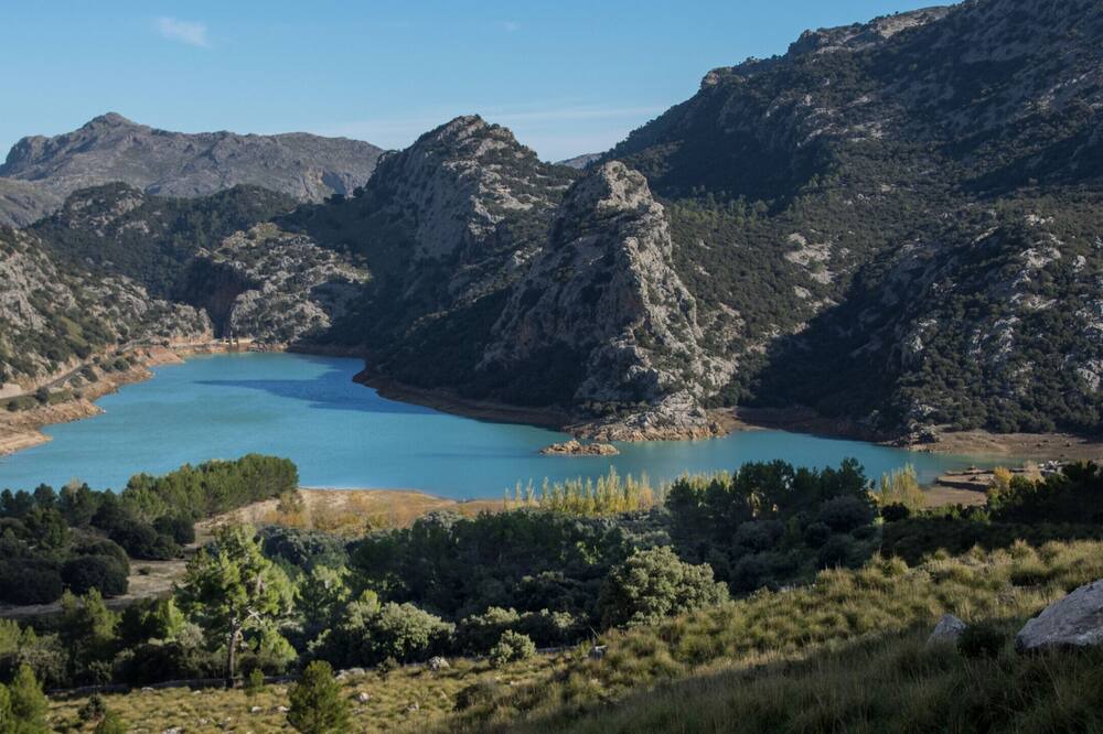 Photo of Others in Puerto de Pollensa