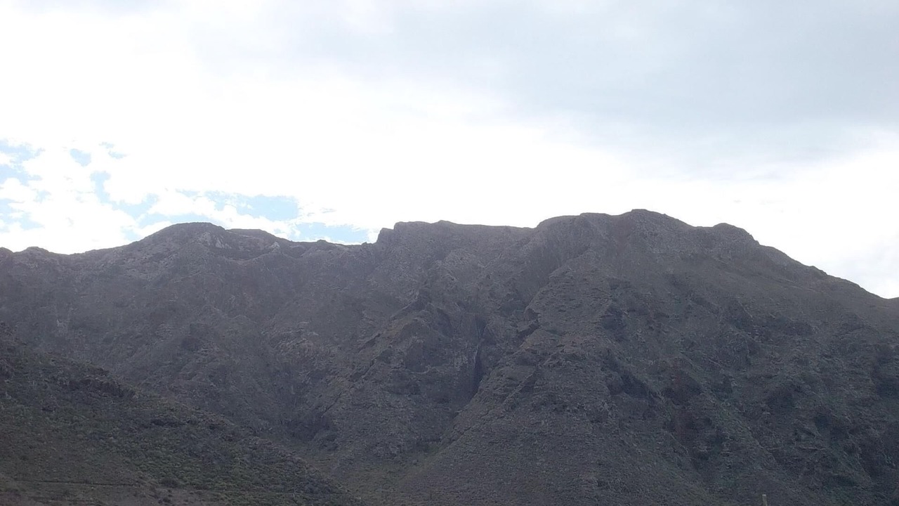 Photo of Others in Buenavista del Norte