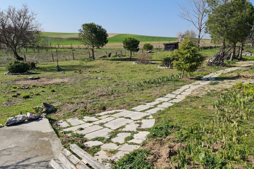 Photo of Outdoor in Villares de la Reina