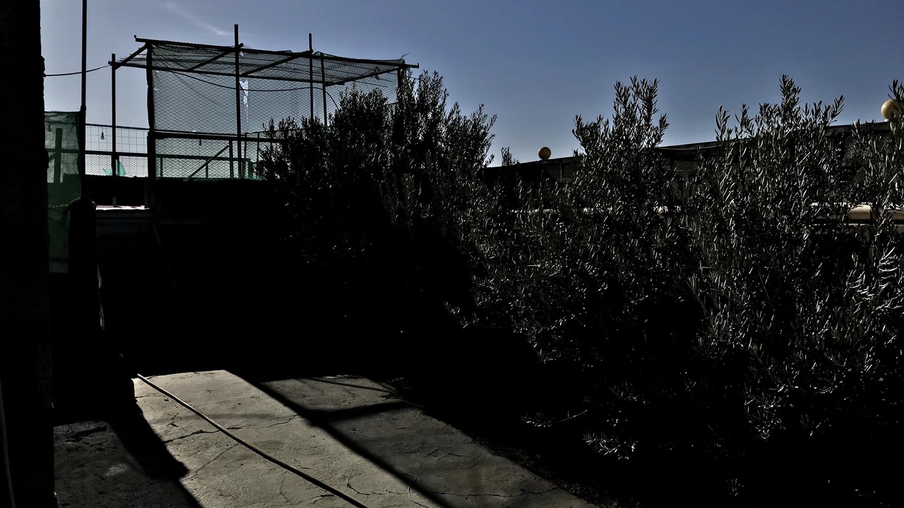 Photo of Outdoor in Western Province