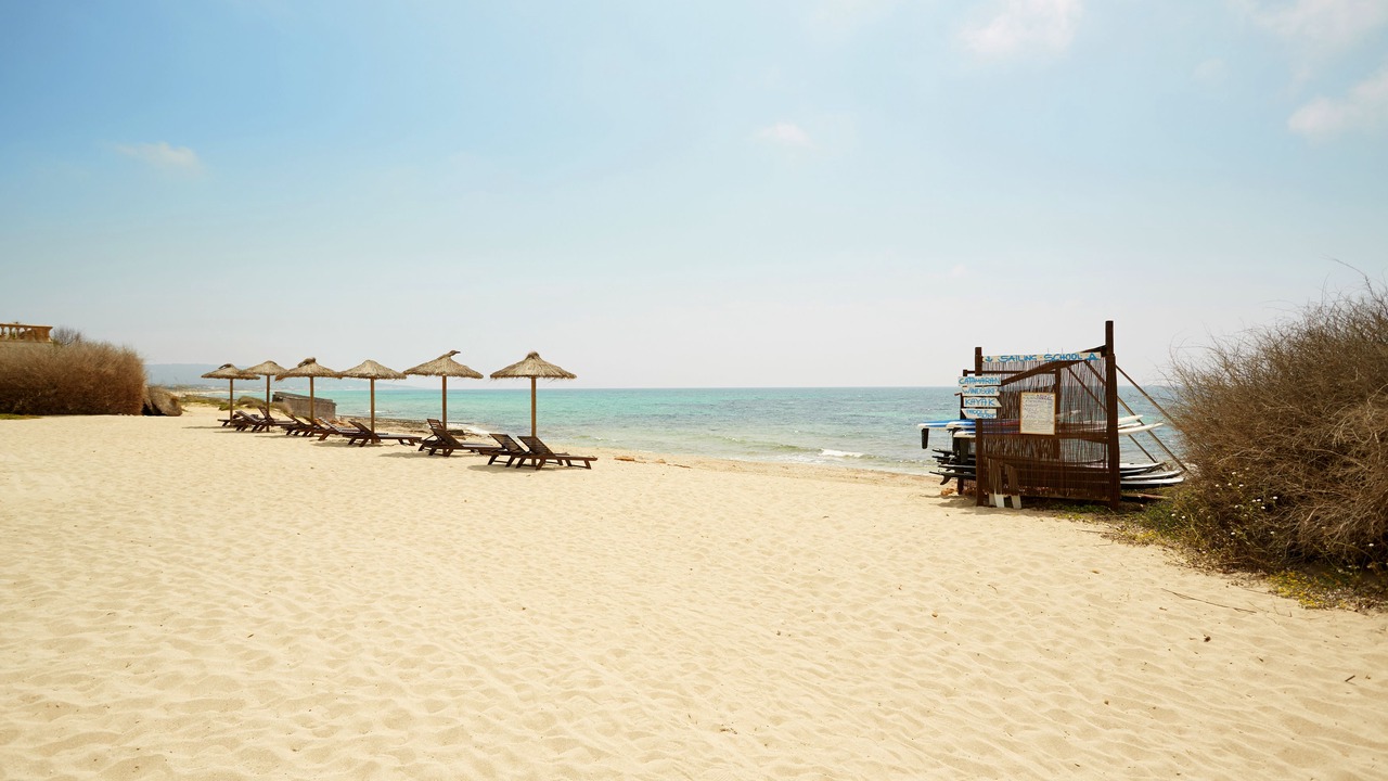 Photo of Others in Formentera
