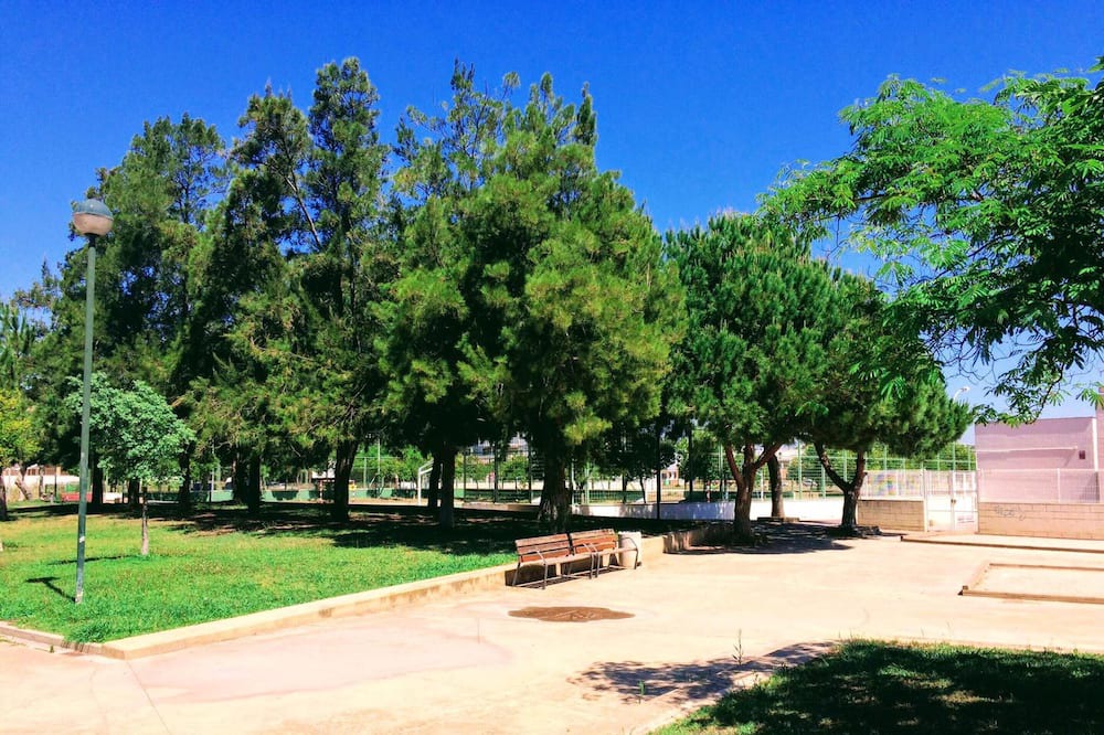 Photo of Outdoor in Playa Pobla de Farnals