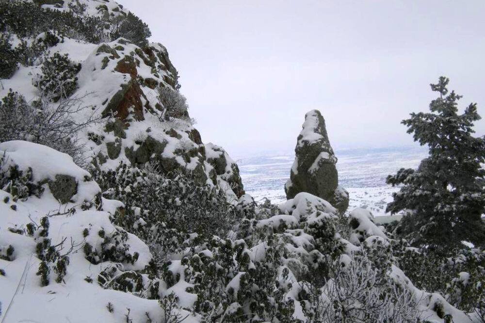 Photo of Others in Bronchales