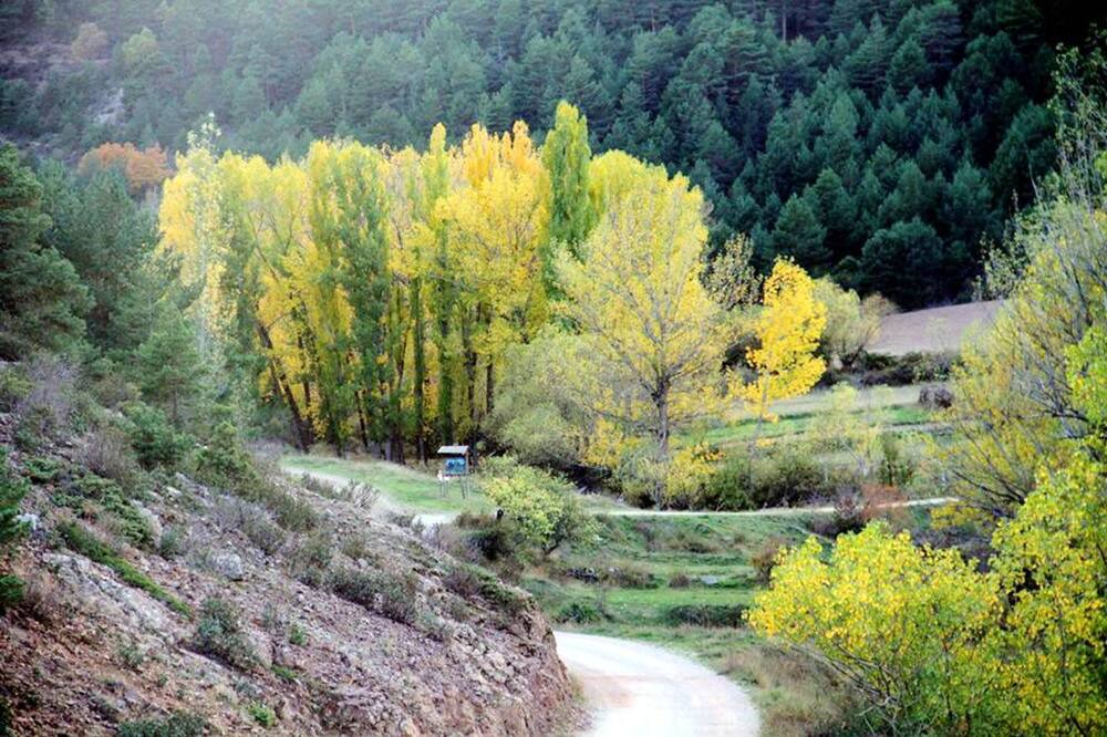 Photo of Outdoor in Bronchales