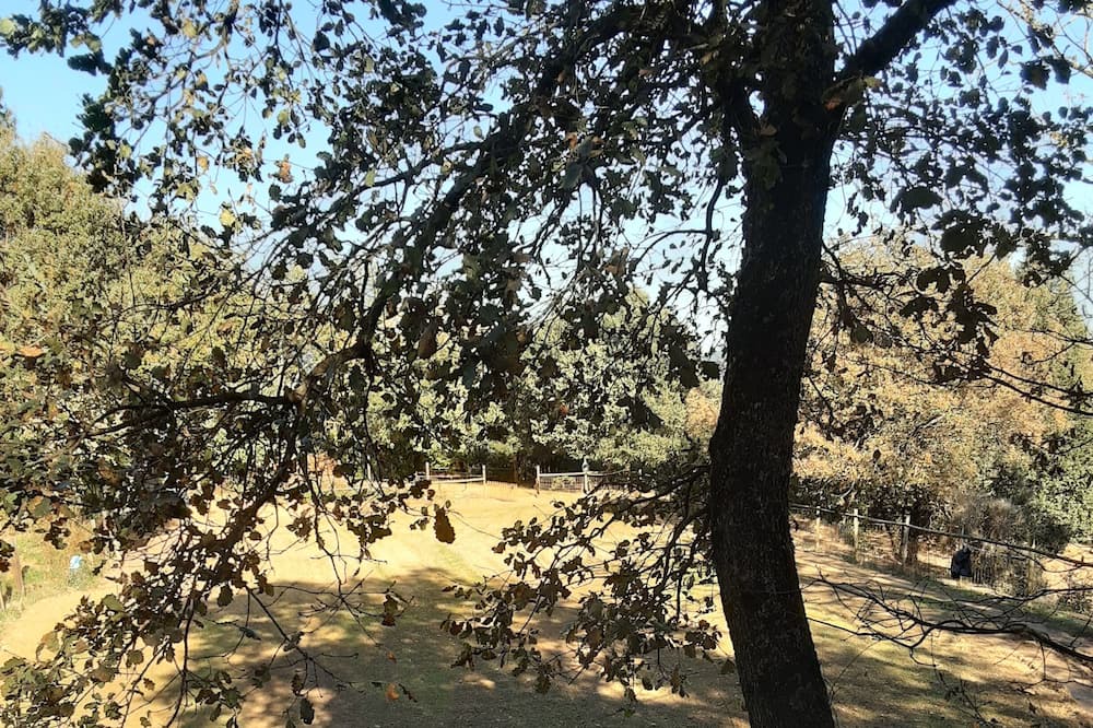 Photo of Outdoor in Sant Ferriol