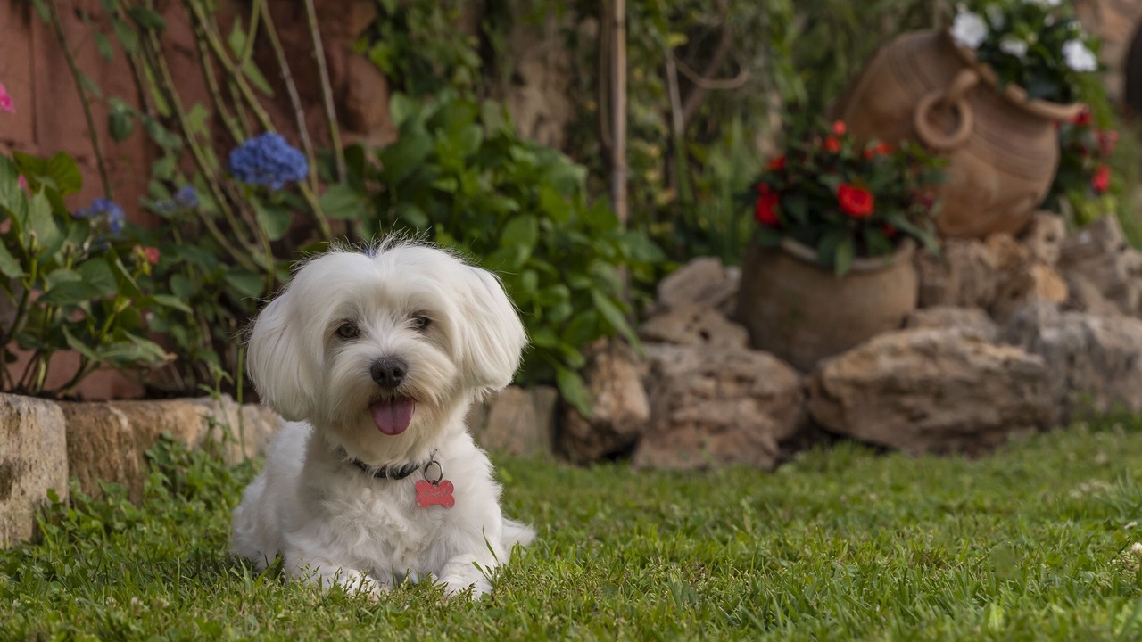 Photo of Outdoor in San Agustin