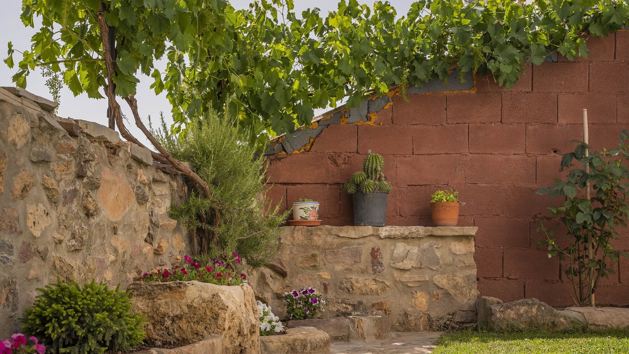 Photo of Outdoor in San Agustin