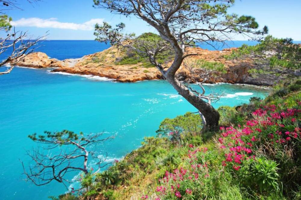 Photo of Others in Begur