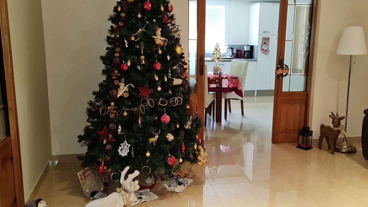Photo of Livingroom in Sa Coma