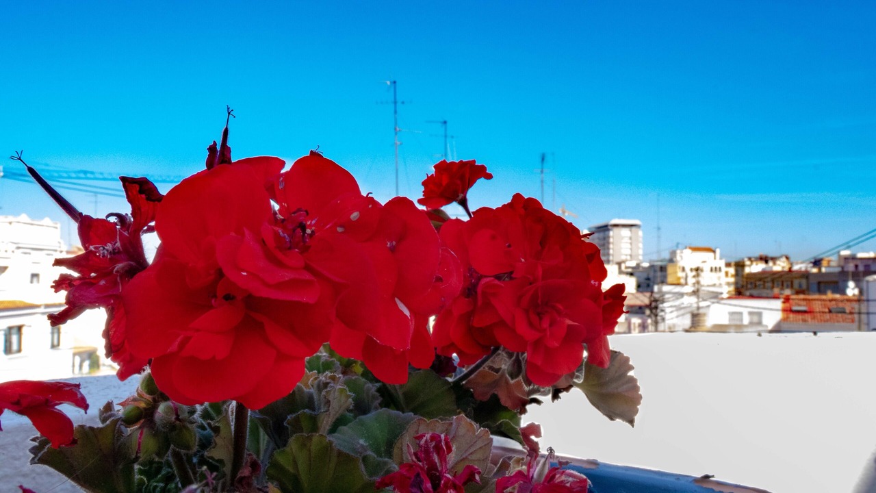 Photo of Outdoor in Eixample