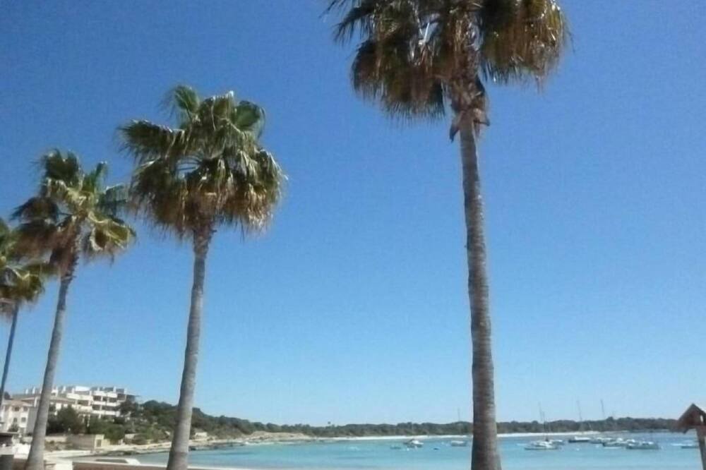 Photo of Others in Colonia Sant Jordi