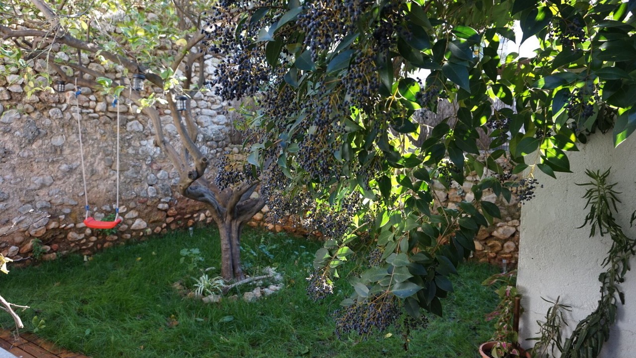 Photo of Outdoor in Alcalali