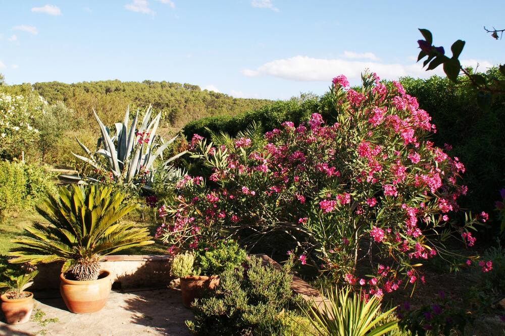 Photo of Outdoor in Sant Joan