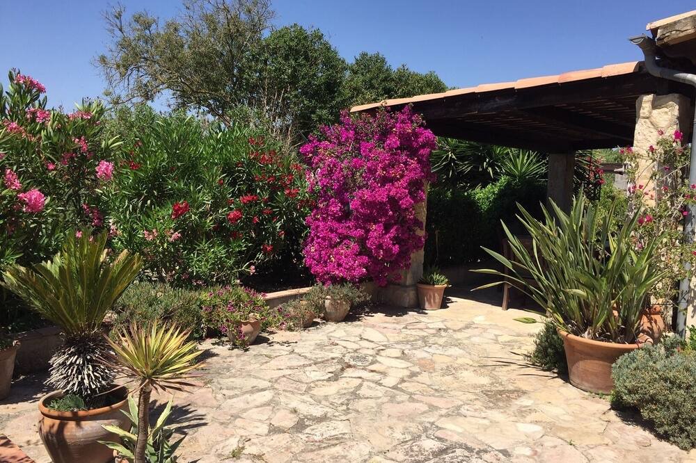 Photo of Outdoor in Sant Joan