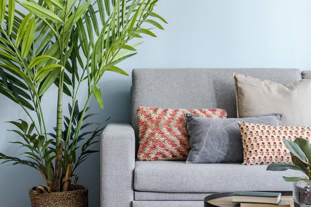 Photo of Livingroom in San Diego