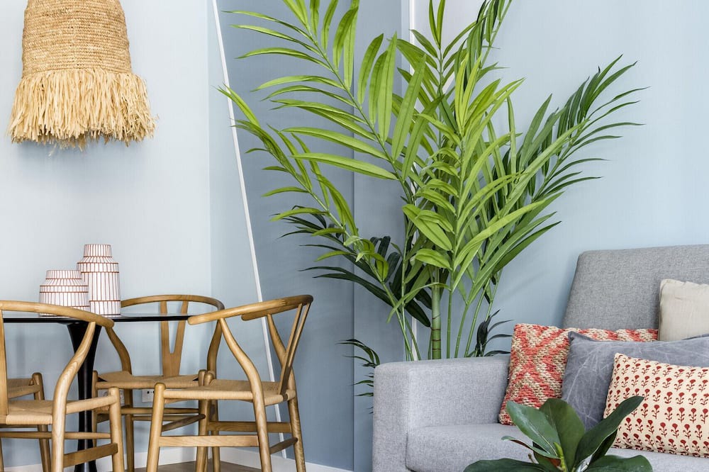 Photo of Livingroom in San Diego