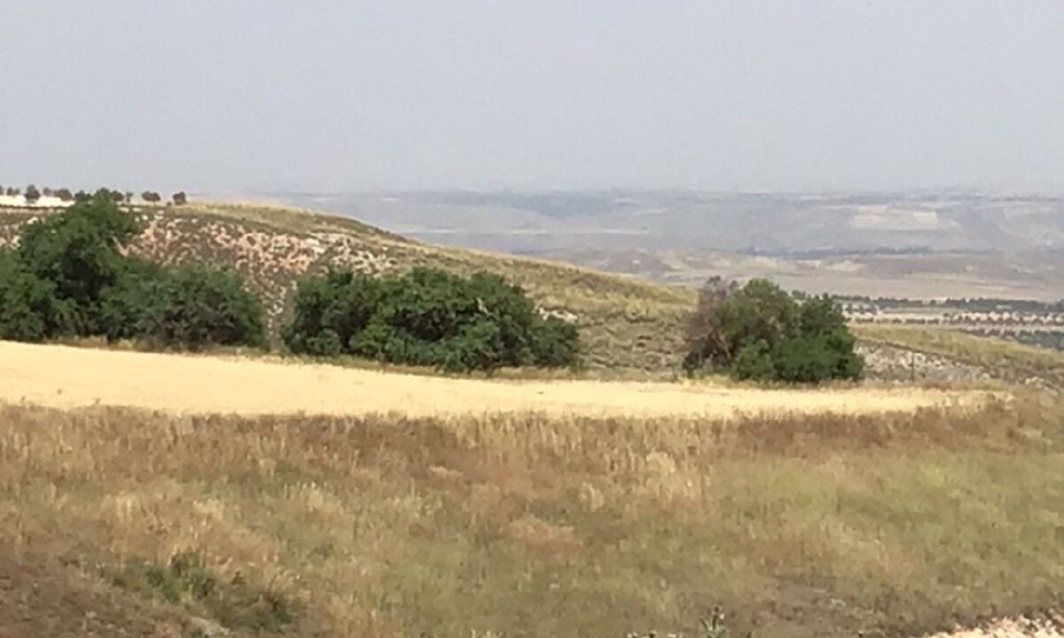 Photo of Others in Ciruelos