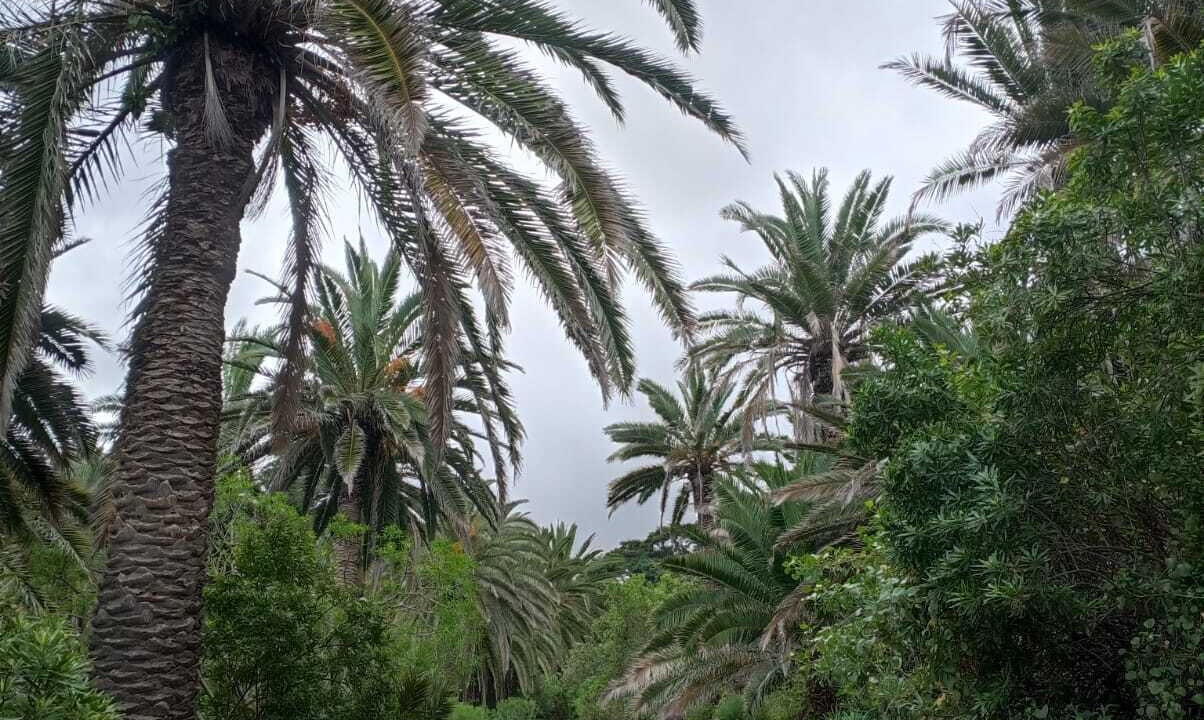 Photo of Outdoor in Santiago del Teide