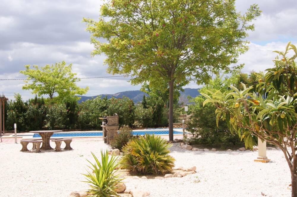 Photo of Outdoor in Pinoso