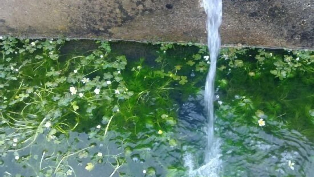 Photo of Outdoor in Braojos