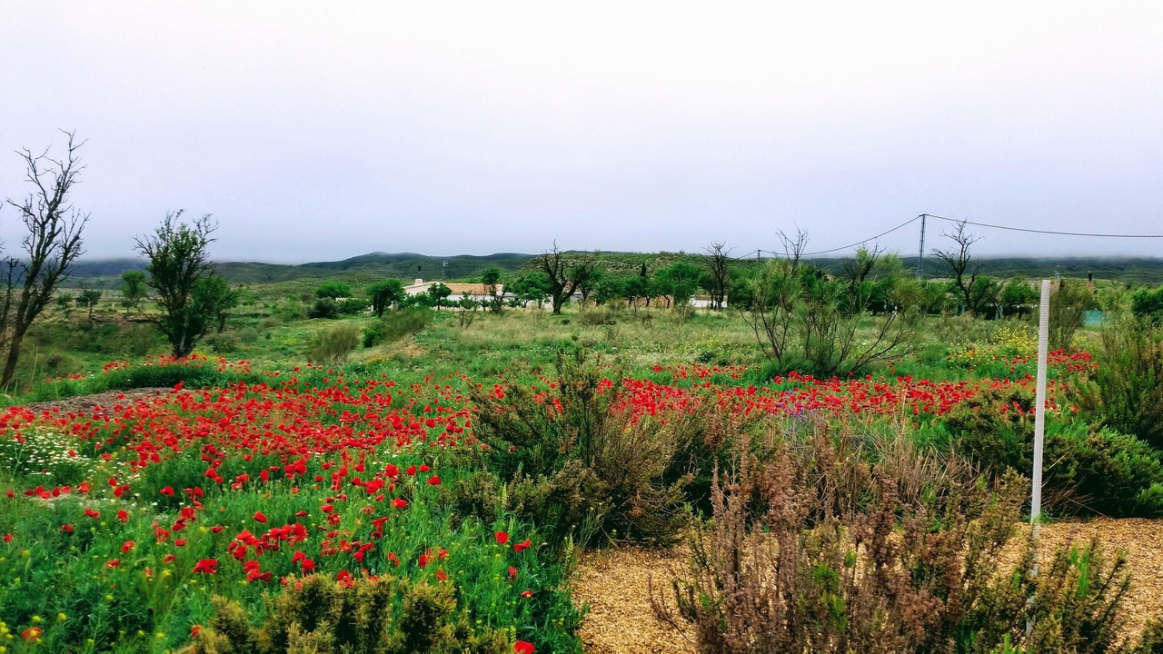 Photo of Outdoor in Seron