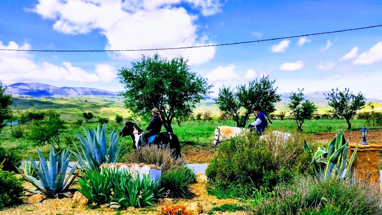 Photo of Outdoor in Seron