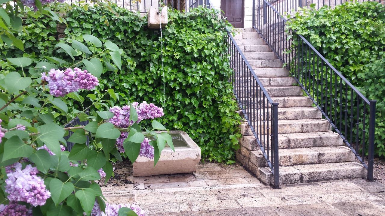 Photo of Outdoor in Chinchon