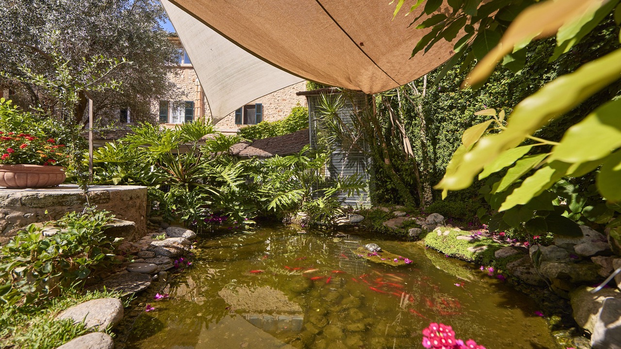 Photo of Outdoor in Pollensa