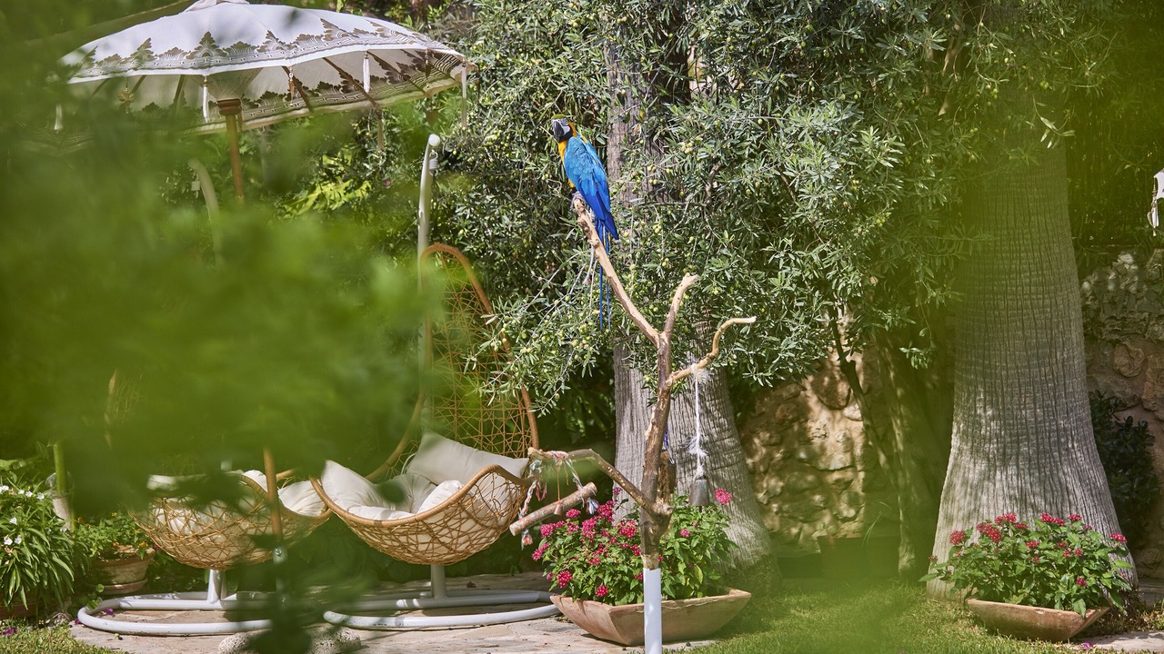 Photo of Outdoor in Pollensa