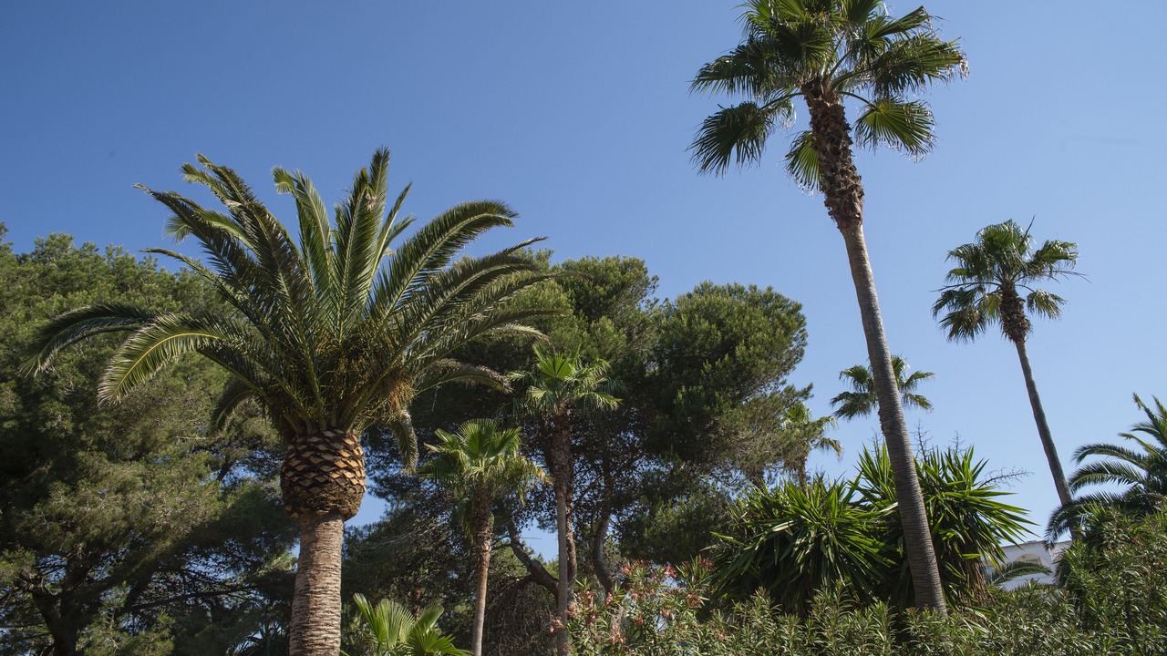 Photo of Outdoor in Cala Marcal