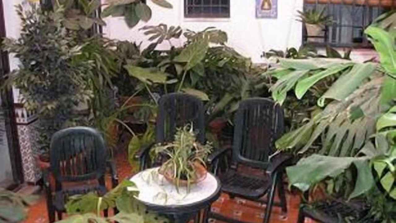 Photo of Patio Balcony in Antequera