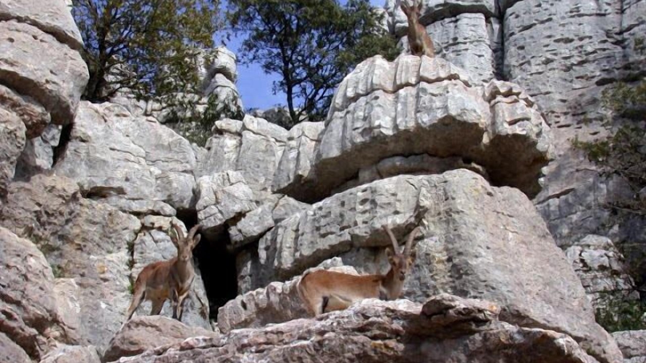 Photo of Outdoor in Antequera