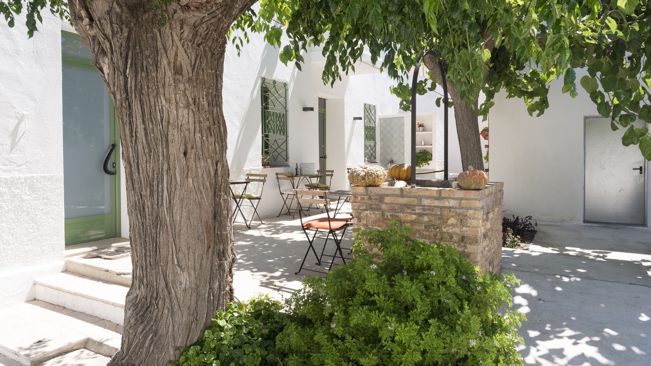 Photo of Outdoor in Deltebre