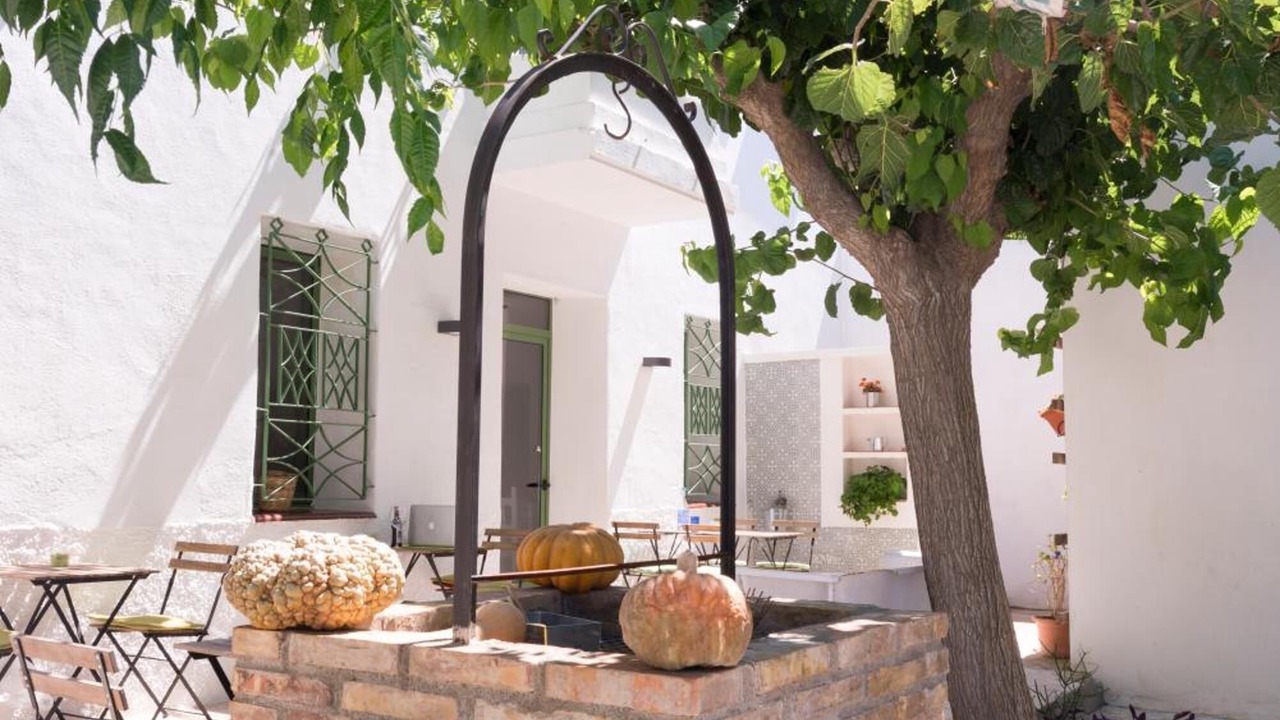 Photo of Outdoor in Deltebre