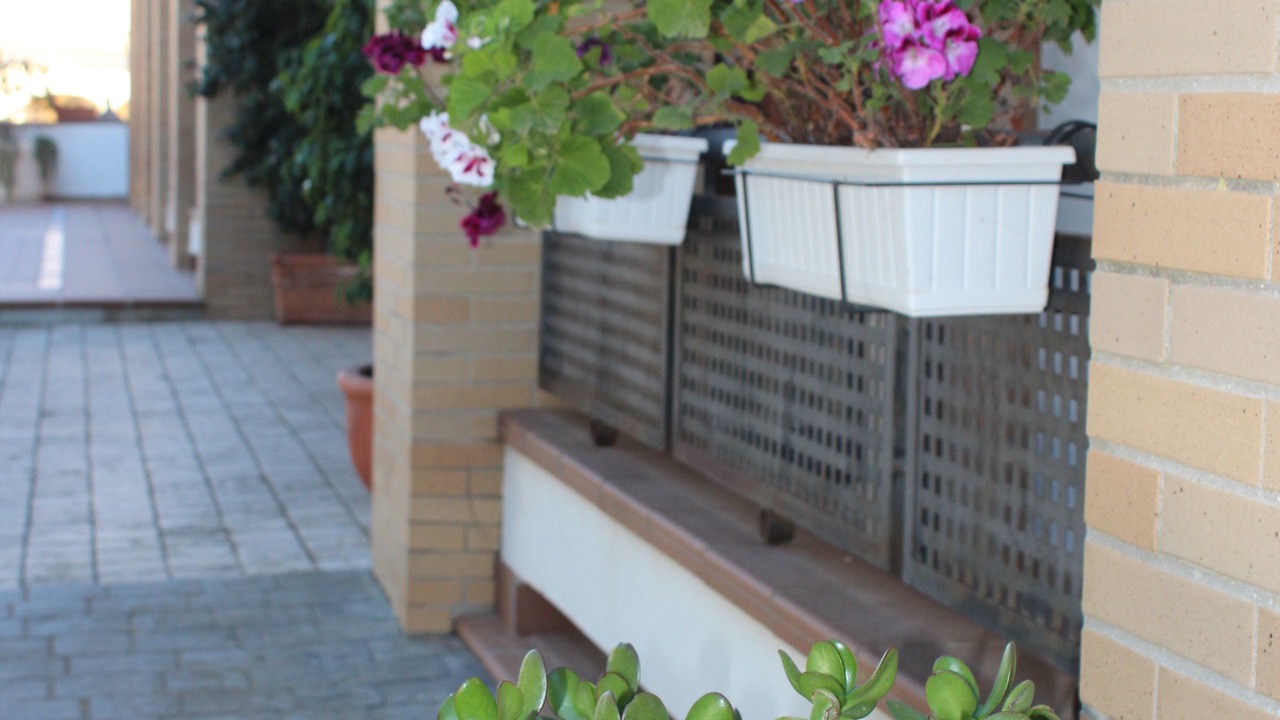 Photo of Outdoor in Los Gallos-Cerromolino