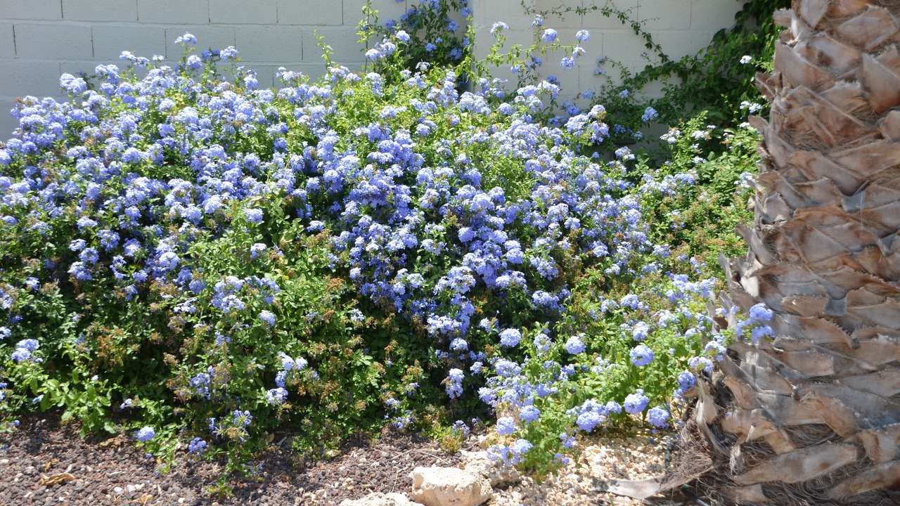 Photo of Outdoor in Los Valientes