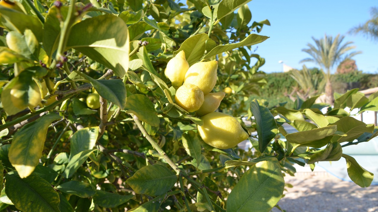 Photo of Outdoor in Los Valientes