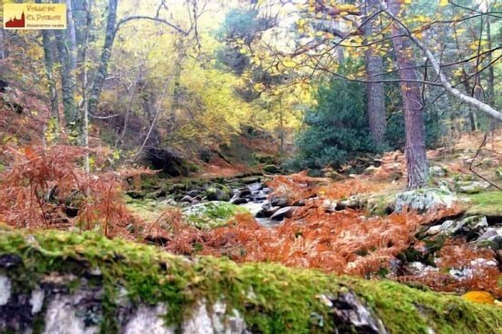 Photo of Outdoor in Rascafria