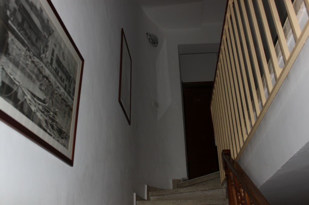 Photo of Others in Puerto de la Cruz