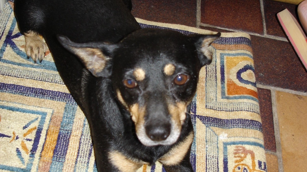 Photo of Others in Silla