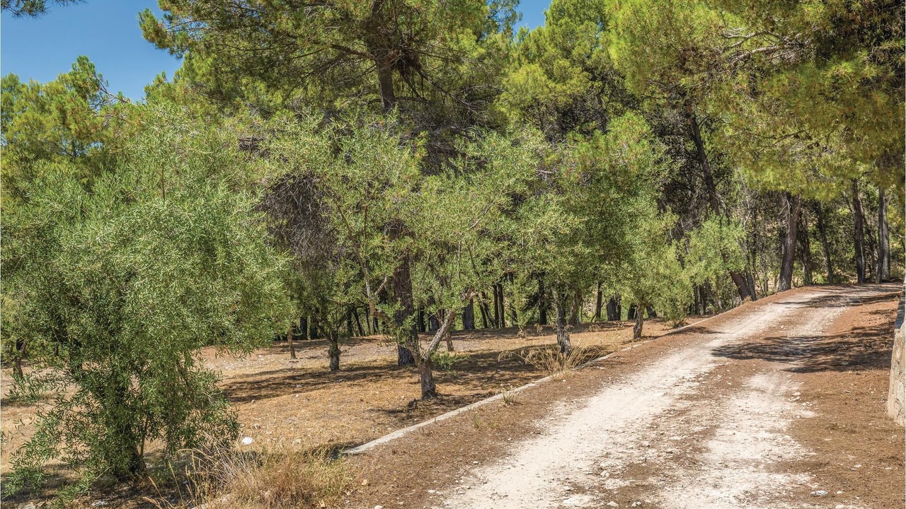 Photo of Outdoor in Torremanzanas