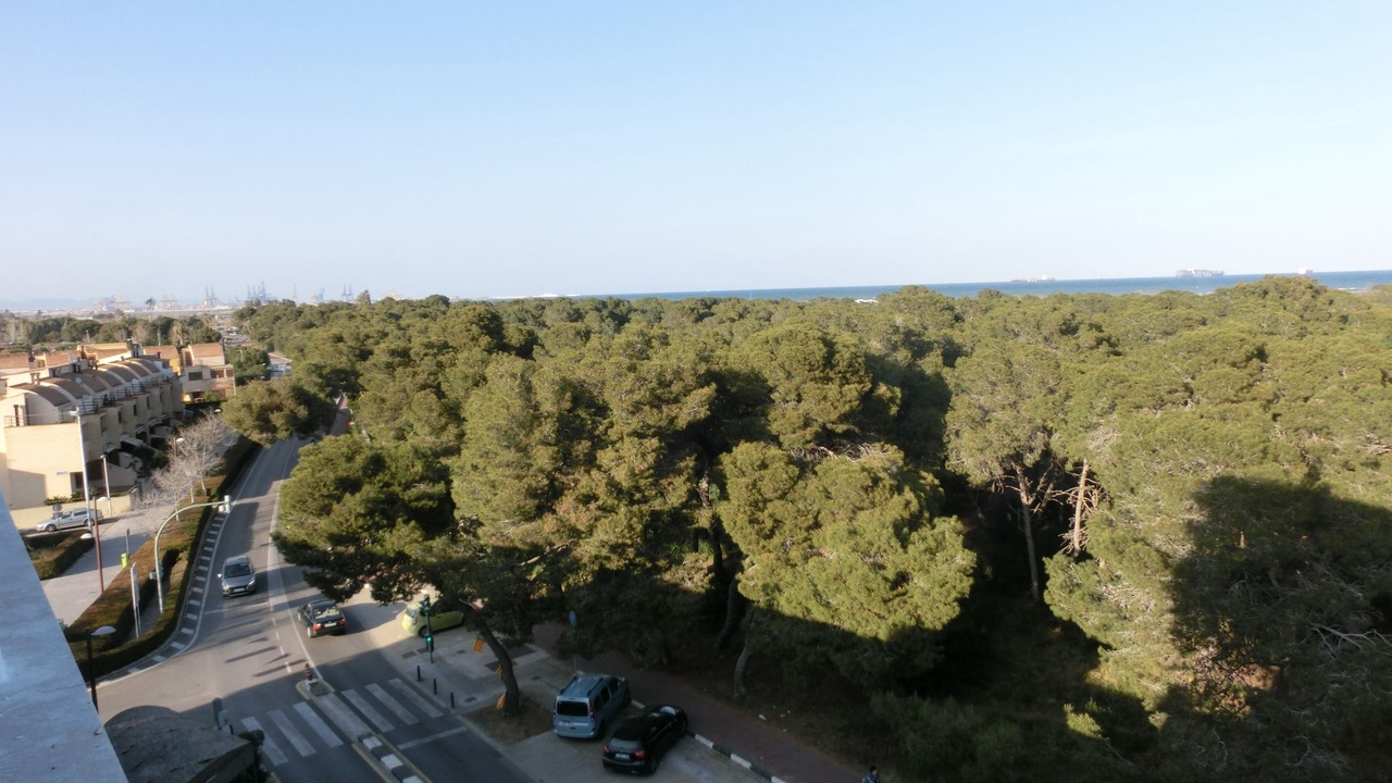 Photo of Others in Pobles del Sud