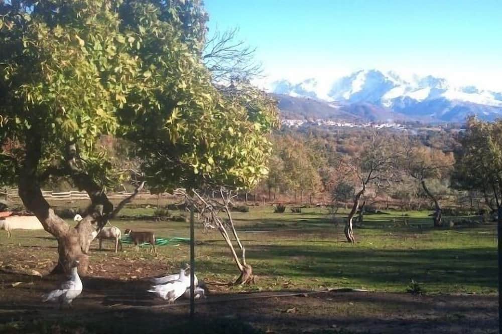 Photo of Outdoor in Valverde de la Vera
