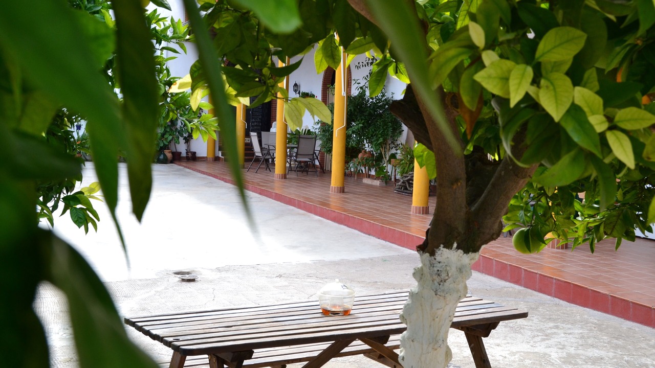 Photo of Outdoor in Moriles