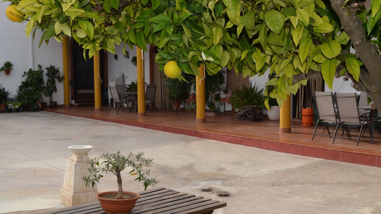 Photo of Outdoor in Moriles