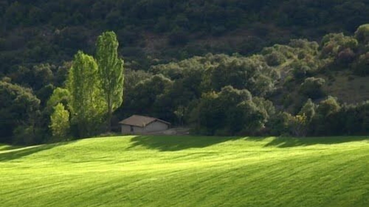 Photo of Others in Eraul