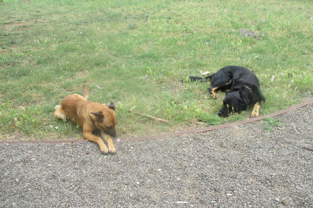 Photo of Outdoor in Bescano